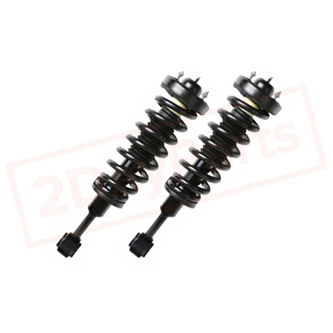 Image Kit of 2 BerkTech Front struts fits Ford F-150 2004-2008 part in Shocks & Struts category