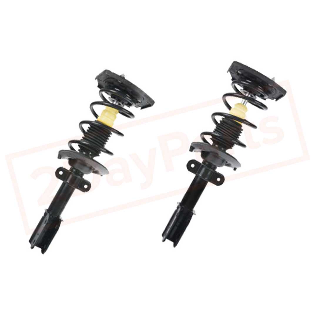 Image Kit of 2 BerkTech Rear struts for Buick Century 97-05 part in Shocks & Struts category