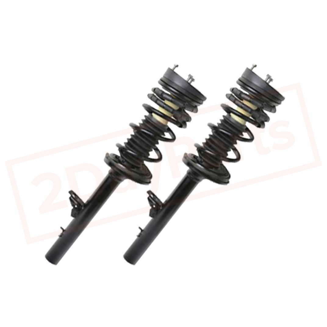 Image Kit of 2 BerkTech Rear struts for Chrysler Intrepid 1999-2004 part in Shocks & Struts category