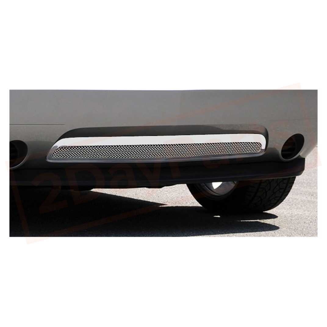 Image T-rex MESH BUMPER for Dodge Challenger (2011-2013) 2009-2014 part in Grilles category