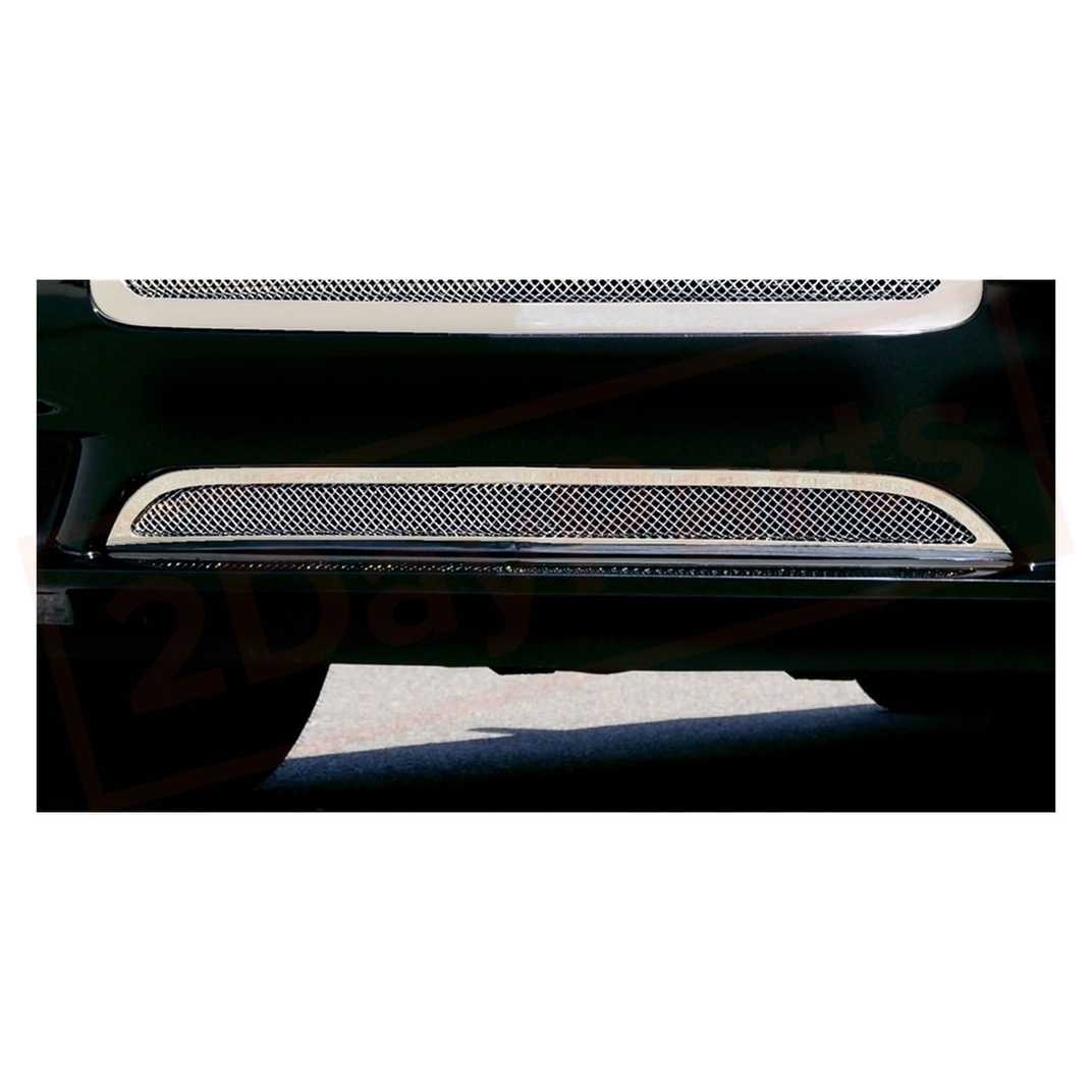 Image T-rex MESH GRILLE for Dodge Charger 2011-2014 part in Grilles category