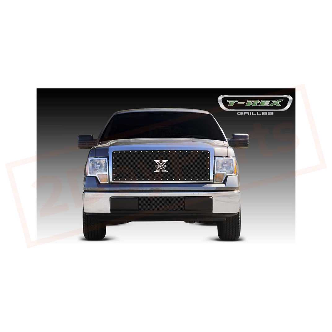 Image 1 T-rex X-METAL GRILLE fits with Ford 2009-12 F-150 part in Grilles category