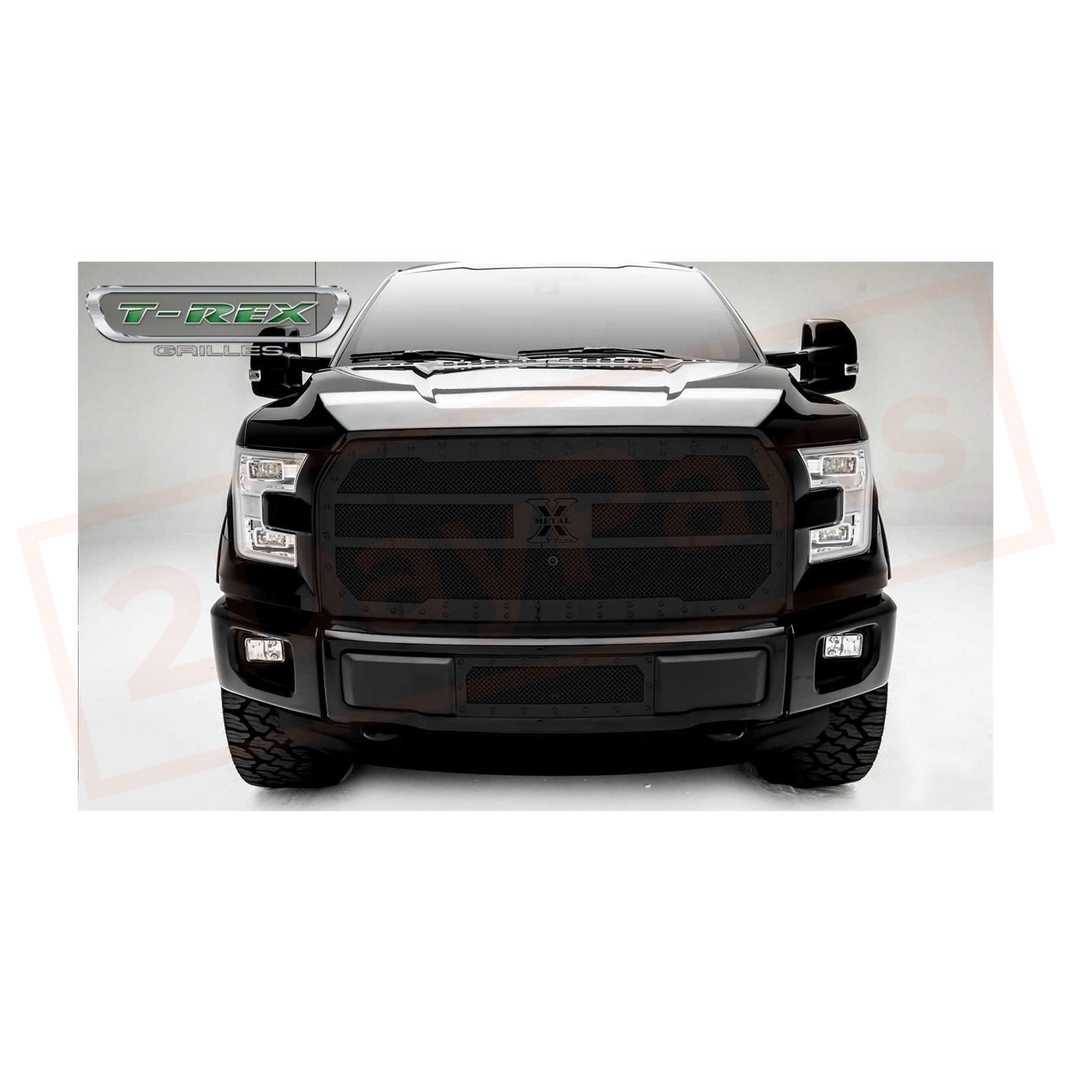 Image 1 T-rex X-METAL GRILLE TRX6725731 part in Grilles category